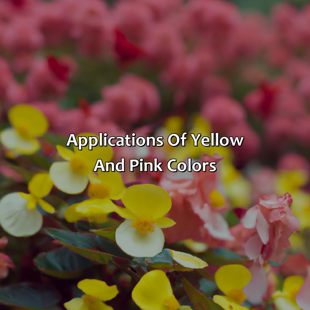 Applications Of Yellow And Pink Colors  - Yellow And Pink Make What Color, 