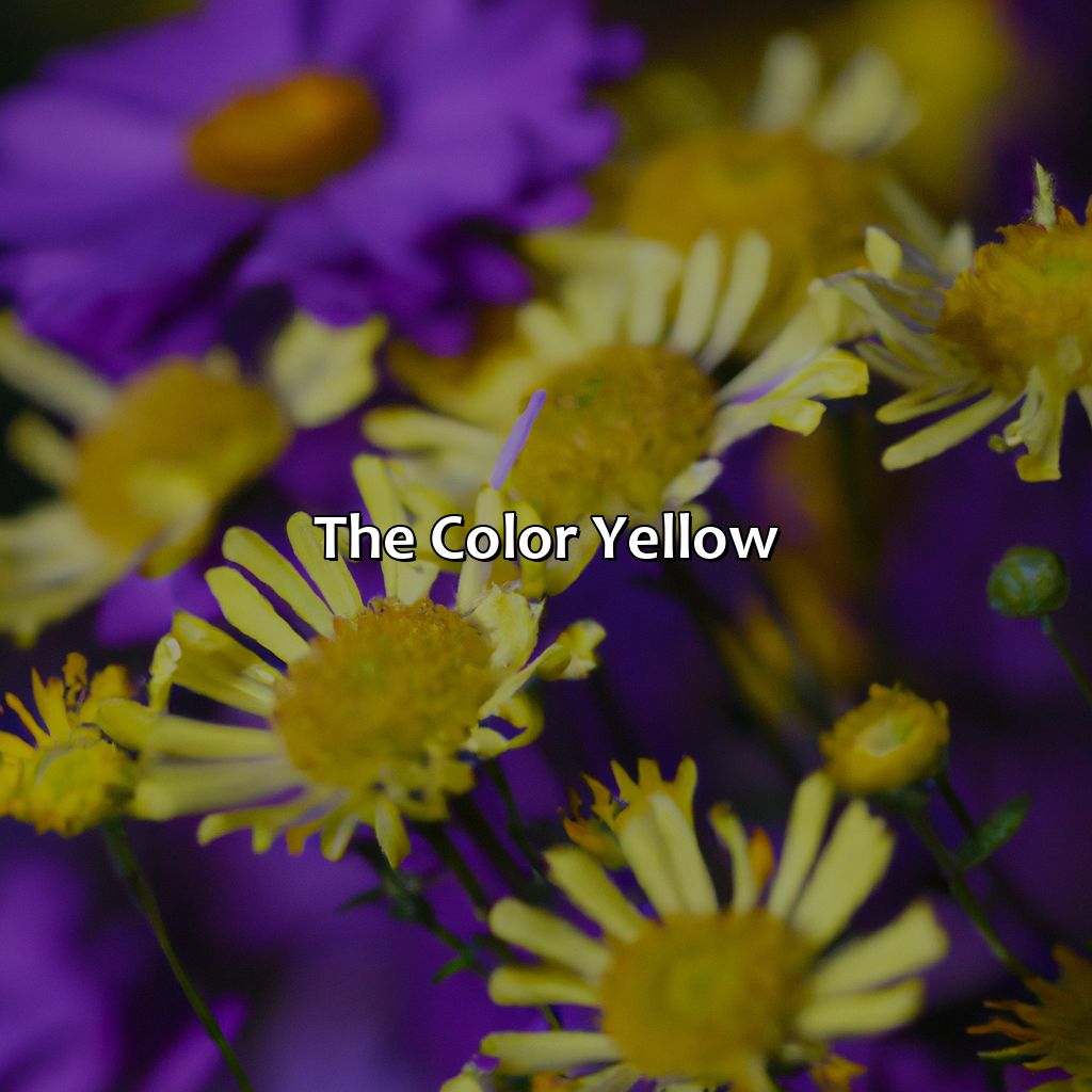 The Color Yellow  - Yellow And Purple Is What Color, 