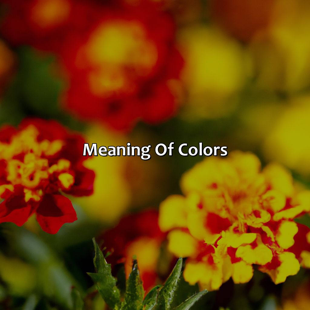 Meaning Of Colors  - Yellow And Red Is What Color, 