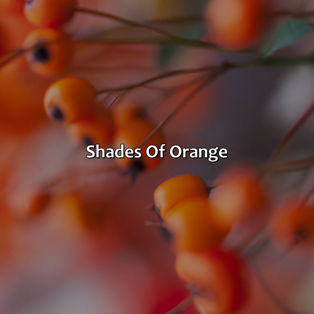 Shades Of Orange  - Yellow And Red Make What Color, 